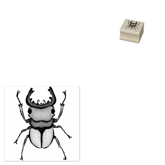 Beetle Art Entomology Insect Rubberstempel (Gestempeld)