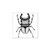 Beetle Art Entomology Insect Rubberstempel (Afrduk)