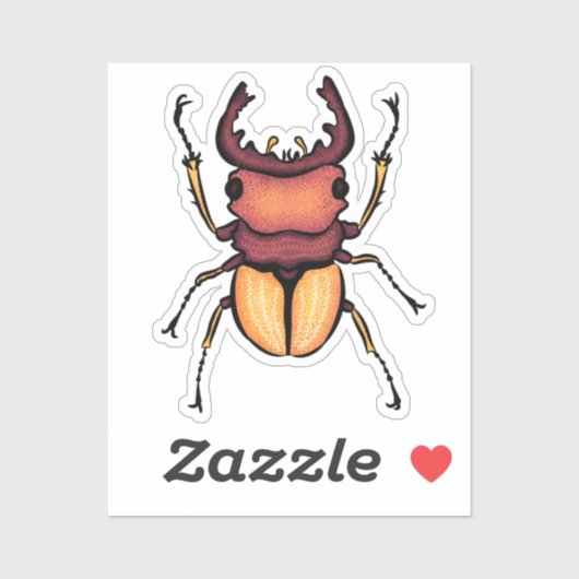 Beetle Art Entomology Insect Sticker (Vel)