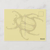 Beetle Briefkaart (Achterkant)