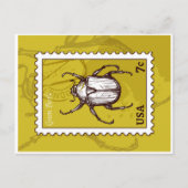 Beetle Briefkaart (Voorkant)