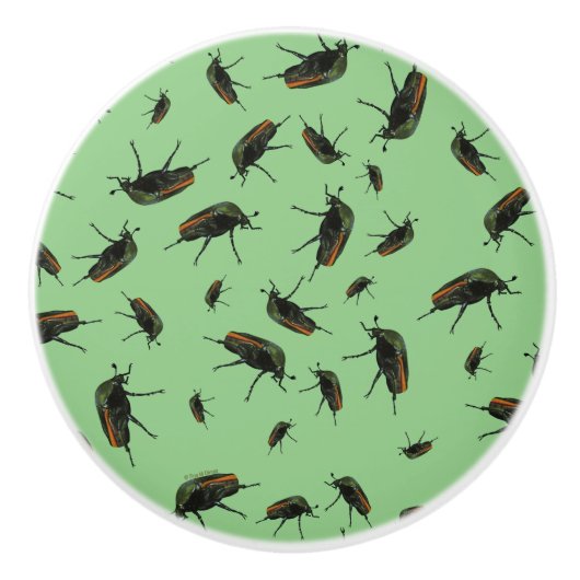 Beetle Bug Knobs Keramische Knop (Voorkant)