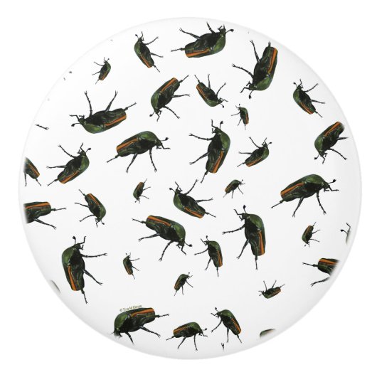 Beetle Bug Knobs Keramische Knop (Voorkant)