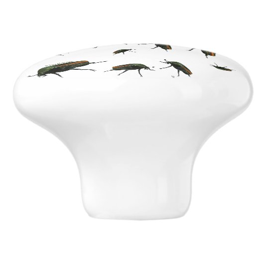 Beetle Bug Knobs Keramische Knop (Zijkant)