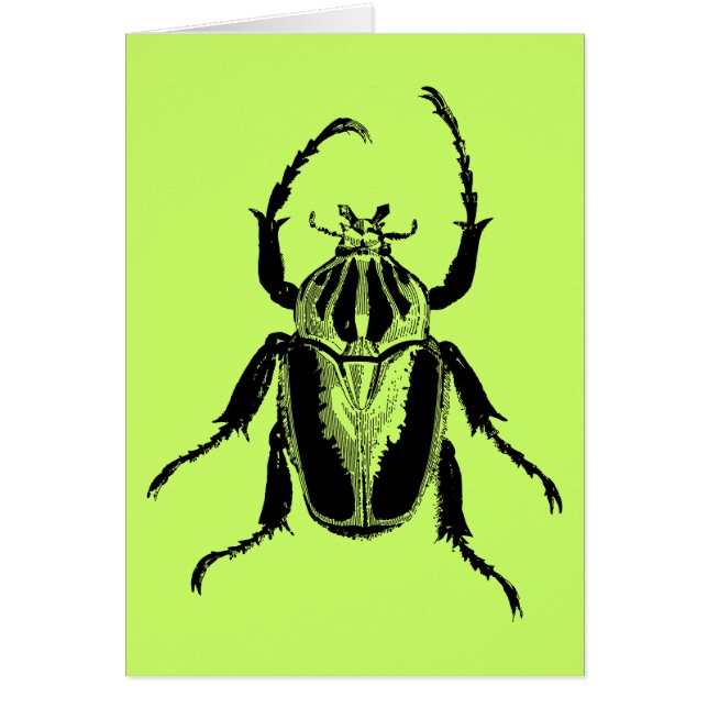 Beetle Insect Bug  Hood Engraving (Voorkant)