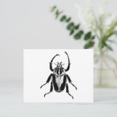 Beetle Insect Bug  Hood Engraving Briefkaart (Staand voorkant)