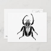 Beetle Insect Bug  Hood Engraving Briefkaart (Voorkant / Achterkant)
