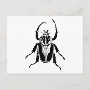 Beetle Insect Bug  Hood Engraving Briefkaart