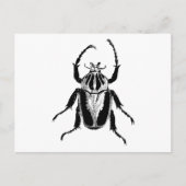 Beetle Insect Bug  Hood Engraving Briefkaart (Voorkant)