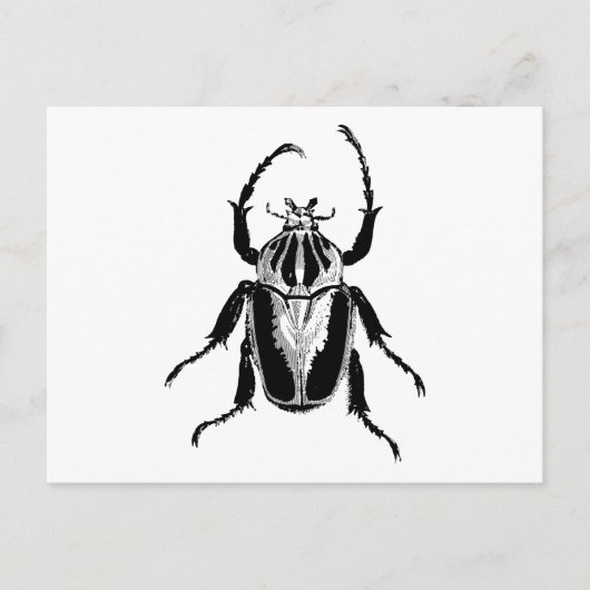 Beetle Insect Bug  Hood Engraving Briefkaart (Voorkant)