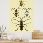 Beetle Insects Collectie Poster (Keuken)