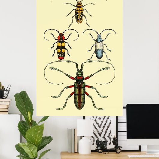 Beetle Insects Collectie Poster (Thuiskantoor)