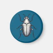 Beetle Magneet (Voorkant)