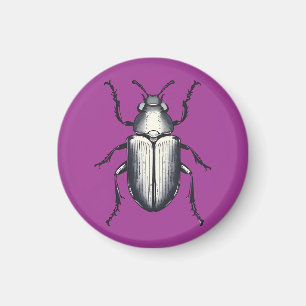 Beetle Magneet