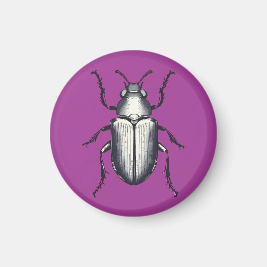 Beetle Magneet (Voorkant)