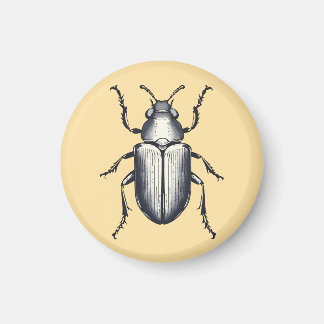 Beetle Magneet