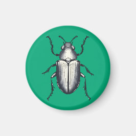 Beetle Magneet