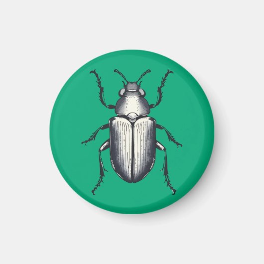 Beetle Magneet (Voorkant)
