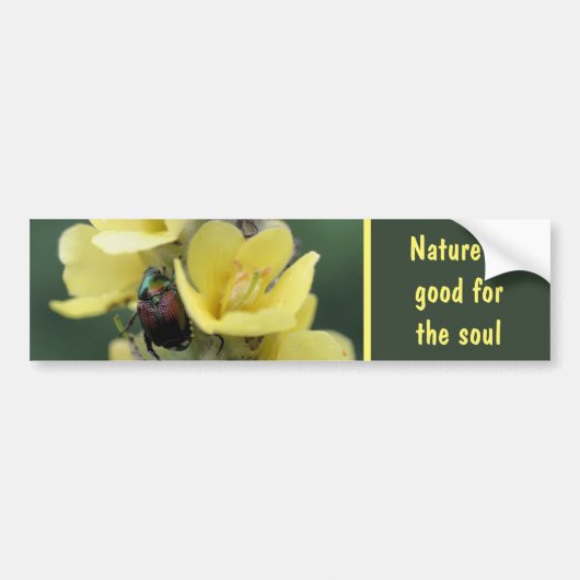 Beetle On Mullein Flower Nature Good For The Soul Bumpersticker (Voorkant)