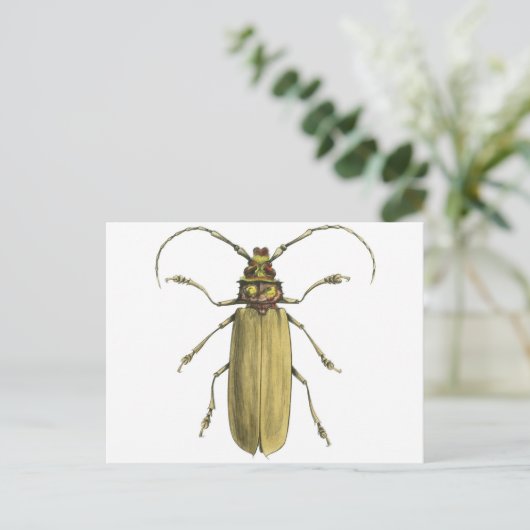 Beetle, Prionus Corticinus Briefkaart (Staand voorkant)