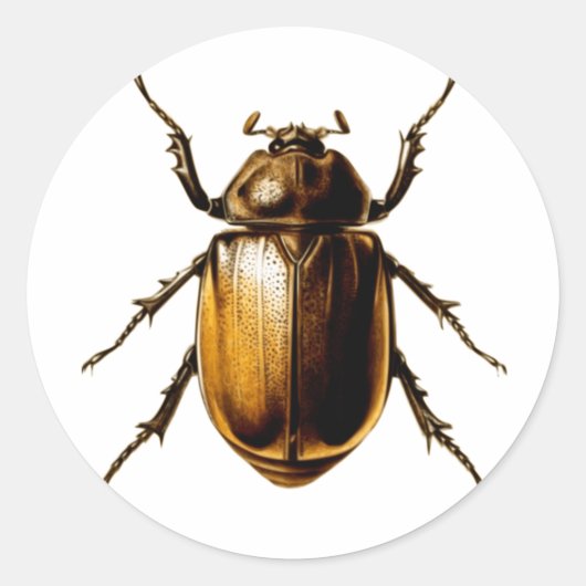 Beetle Ronde Sticker (Voorkant)