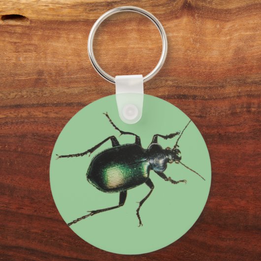 Beetle Sleutelhanger (Voorkant)