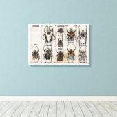 Beetle Species Bug Insect nature photograph  Canvas Afdruk (Insitu (Houten vloer))