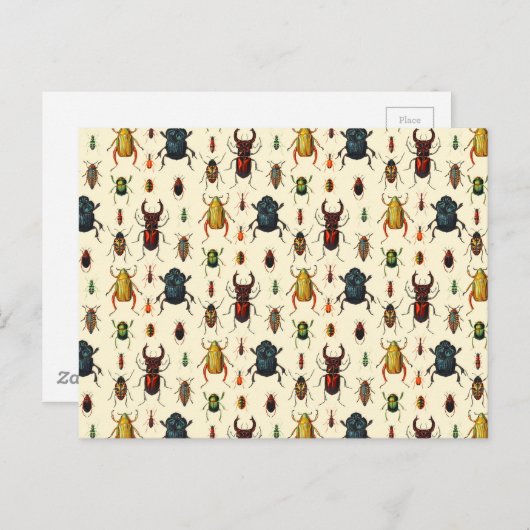 Beetle Varieties Briefkaart (Voorkant / Achterkant)