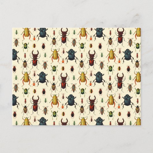 Beetle Varieties Briefkaart (Voorkant)