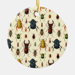 Beetle Varieties Keramisch Ornament