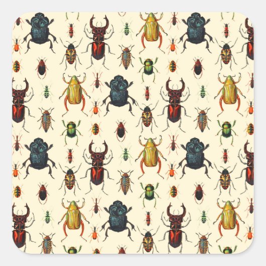 Beetle Varieties Vierkante Sticker (Voorkant)