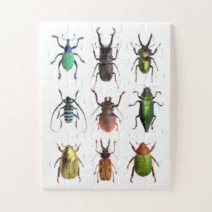 Beetlemania Beauful Beetle Bugs Legpuzzel