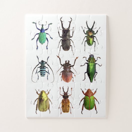 Beetlemania Beauful Beetle Bugs Legpuzzel (Verticaal)