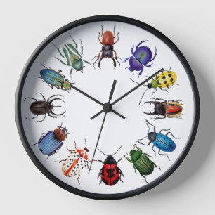 Beetles 