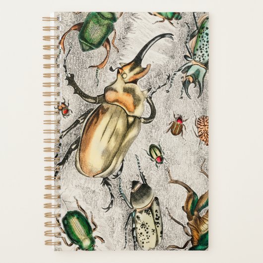 Beetles Bugs Insects Planner (Voorkant)