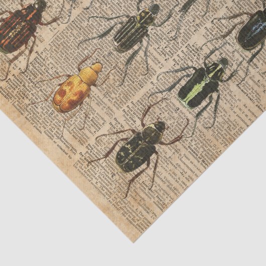 Beetles Bugs Zoology  Illustration Art Tissuepapier (Detail)
