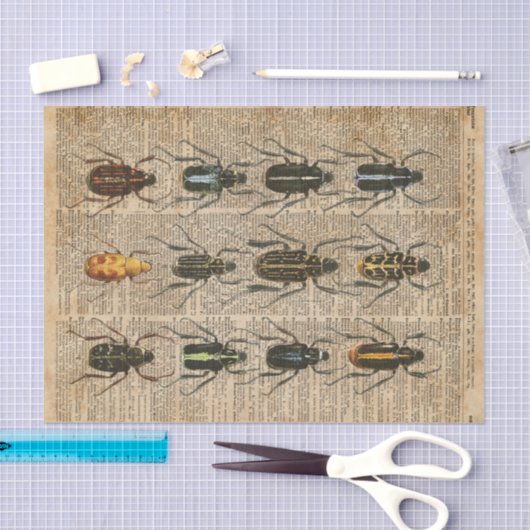 Beetles Bugs Zoology  Illustration Art Tissuepapier (Craft)