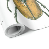 Beetles Cadeaupapier (Rol Hoek)