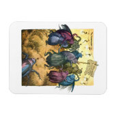 Beetles die de midzomer vieren magneet (Horizontaal)