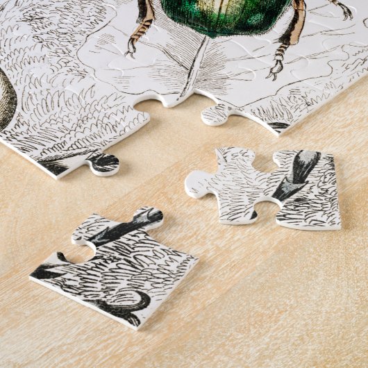 Beetles Insects Bugs Legpuzzel (Zijkant)