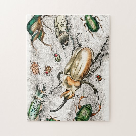 Beetles Insects Bugs Legpuzzel (Verticaal)