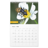 Beetles Kalender (Mar 2026)