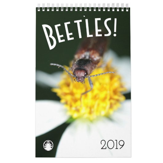 Beetles Kalender (Hoes)