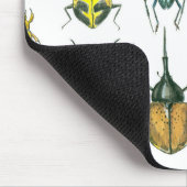 Beetles Muismat (Hoek)