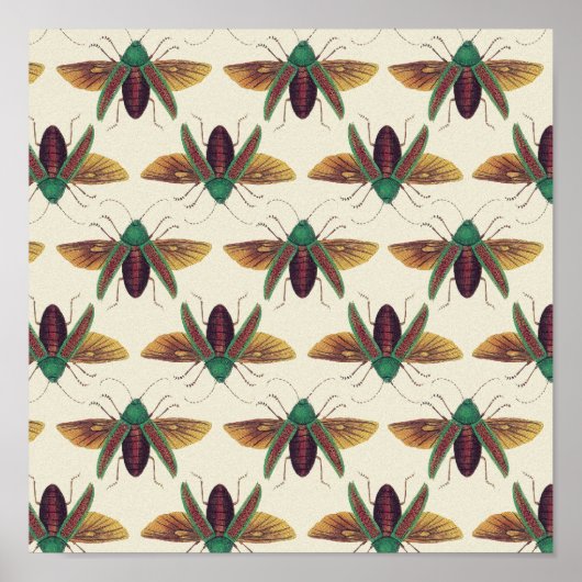 Beetles Poster (Voorkant)