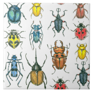 Beetles Tegeltje