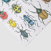 Beetles Tissuepapier (Detail)