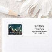 BEF Bald Eagle Family Etiket (Insitu)