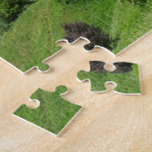Befestigde stad Carcassonne Legpuzzel (Zijkant)