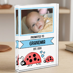 Beforderd tot oma lieveheersbeestjes blauw fotoblokken